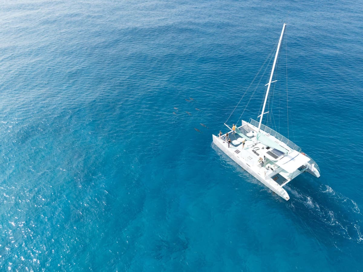 Catamarans